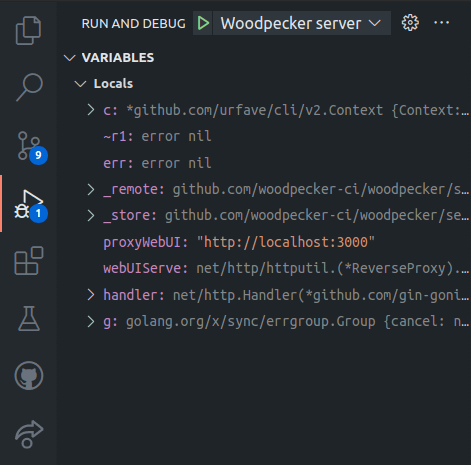 Woodpecker debugging with VS-Code